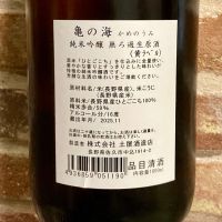 亀の海のレビュー by_Dalmatian