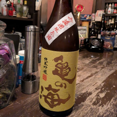 亀の海のレビュー by_G1
