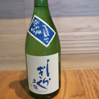 土佐しらぎく