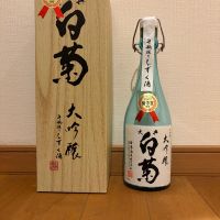 大典白菊