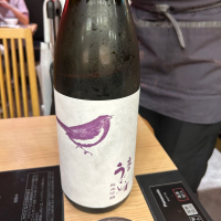 
            庭のうぐいす_
            コードネーム ニホンシュさん