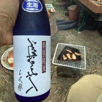 菊美人