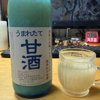 菊美人