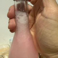 宮の松のレビュー by_こーじ