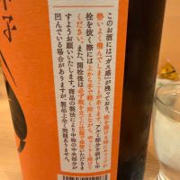 甲子のレビュー by_こーじ