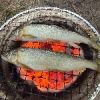 こーじ