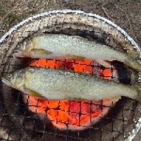こーじ