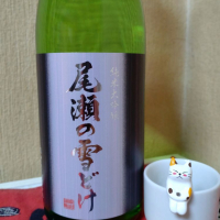 
            尾瀬の雪どけ_
            ねくさん