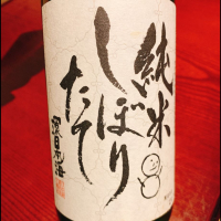 
            環日本海_
            呑むの大好き女子さん