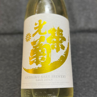 光栄菊
