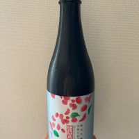 志太泉