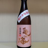 亀の海