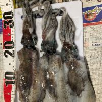 風の森のレビュー by_めばりん
