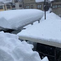 楽器正宗のレビュー by_めばりん