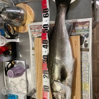 天明のレビュー by_めばりん