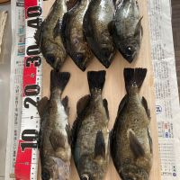 雪の茅舎のレビュー by_めばりん