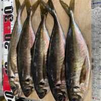 出羽桜のレビュー by_めばりん