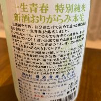 一生青春のレビュー by_めばりん