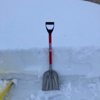 賀茂金秀のレビュー by_めばりん