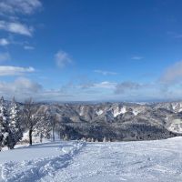 一白水成のレビュー by_めばりん