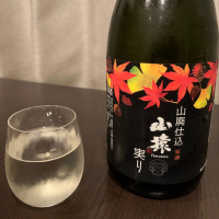 山猿