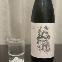 楽器正宗