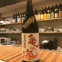 亀の海