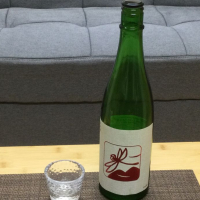 
            いづみ橋_
            いの10さん