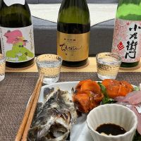 ちえびじんのレビュー by_いの10