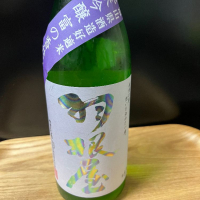 
            羽根屋_
            日本酒2年目さん