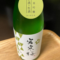 
            宮寒梅_
            日本酒2年目さん