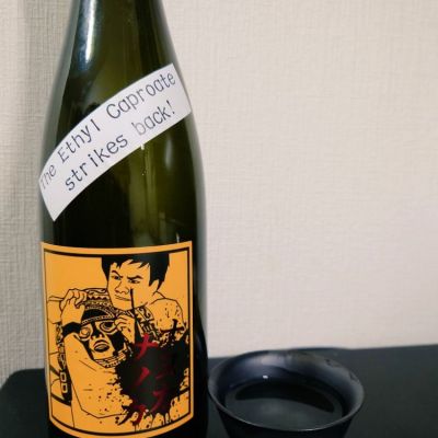 山形県の酒