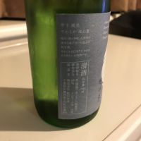 甲子のレビュー by_alfagt