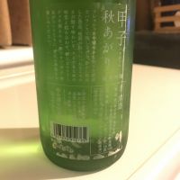 甲子のレビュー by_alfagt