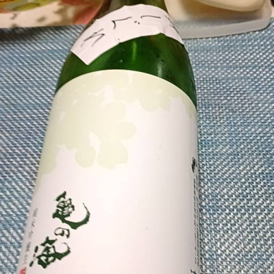 亀の海のレビュー by_二兎