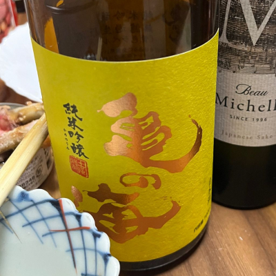 亀の海のレビュー by_二兎