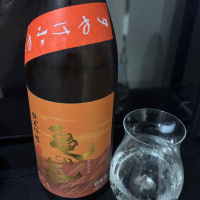 亀の海