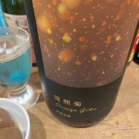 電照菊