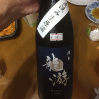龍游