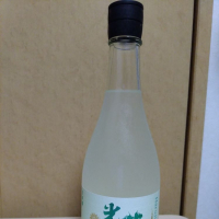 
            光栄菊_
            ねこまるさん