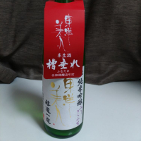 山口県の酒