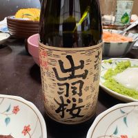 
            出羽桜_
            シンデコボコさん