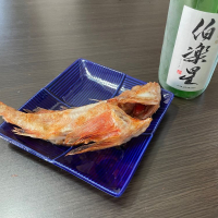 伯楽星