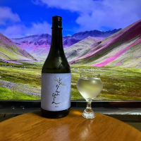 シン なんぶびじんのレビュー by_DJ_ANGELO