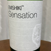 SENSATIONのレビュー by_DJ_ANGELO