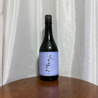 シン なんぶびじんのレビュー by_DJ_ANGELO