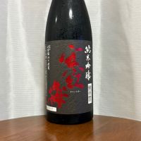 寒紅梅