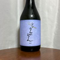 シン なんぶびじん