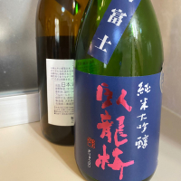 臥龍梅
