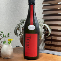 総乃寒菊